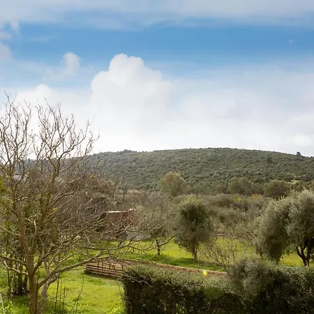 Bed & Breakfast In Bicicletta Alghero